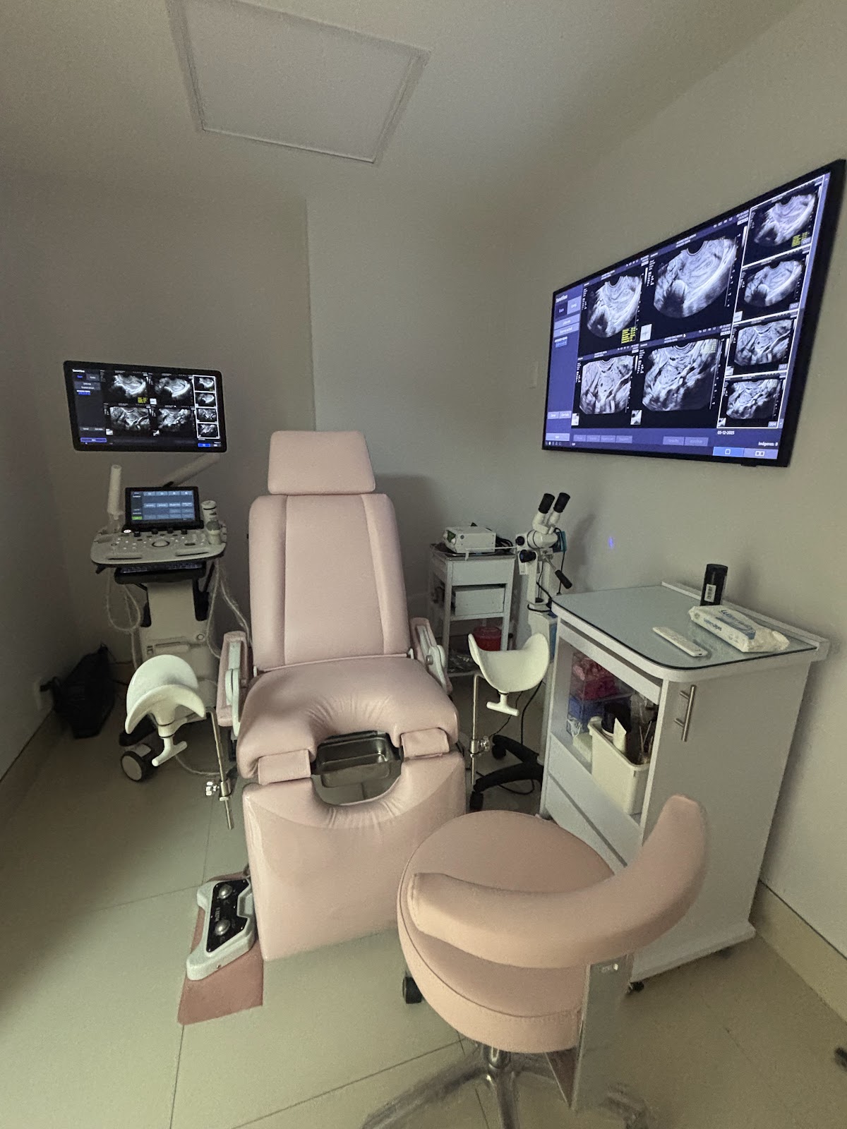 Ginecología y Obstetricia. Dra Diana Iris Hernández — foto 2