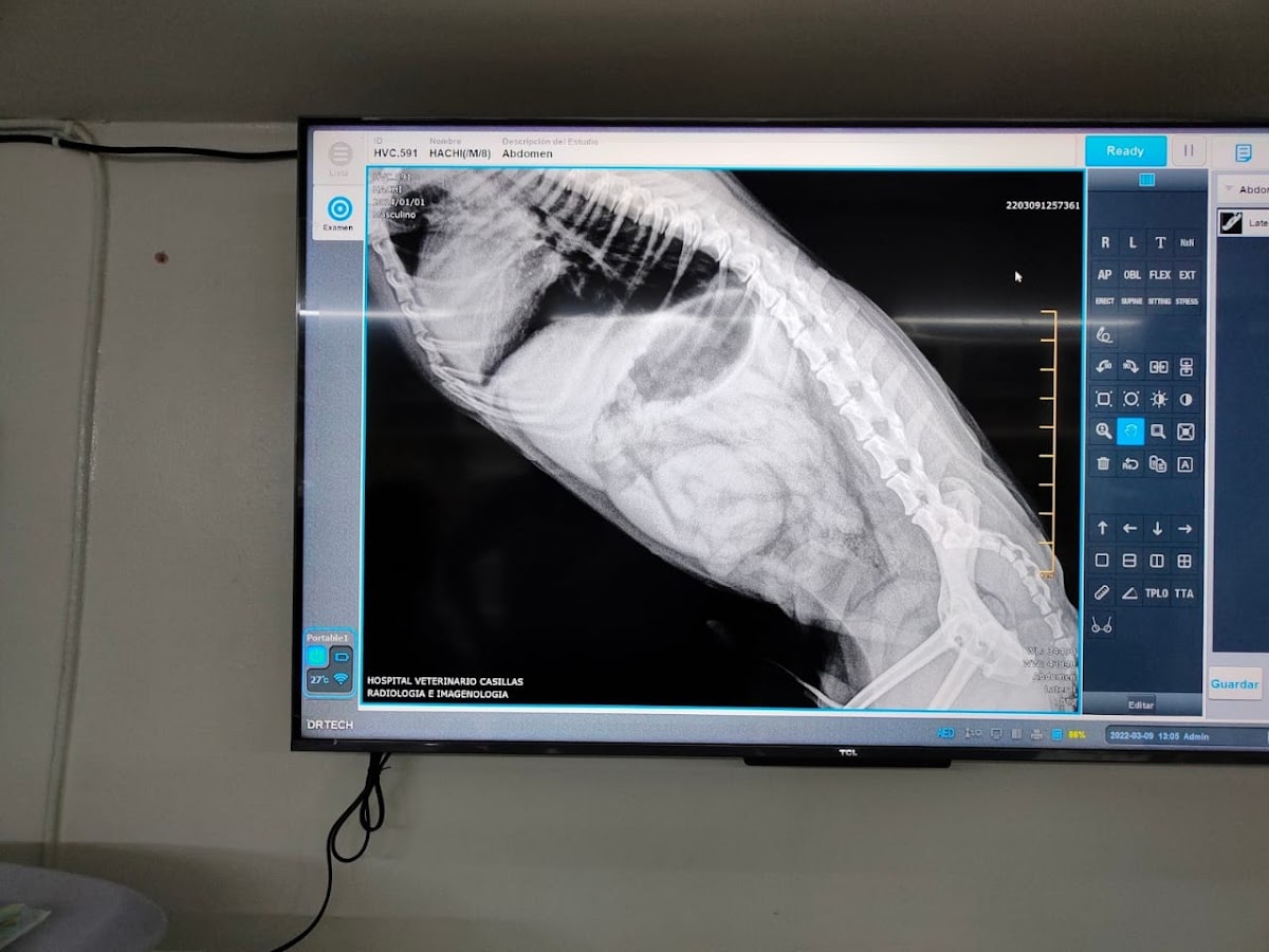 HVC Hospital Veterinario Casillas — foto 2