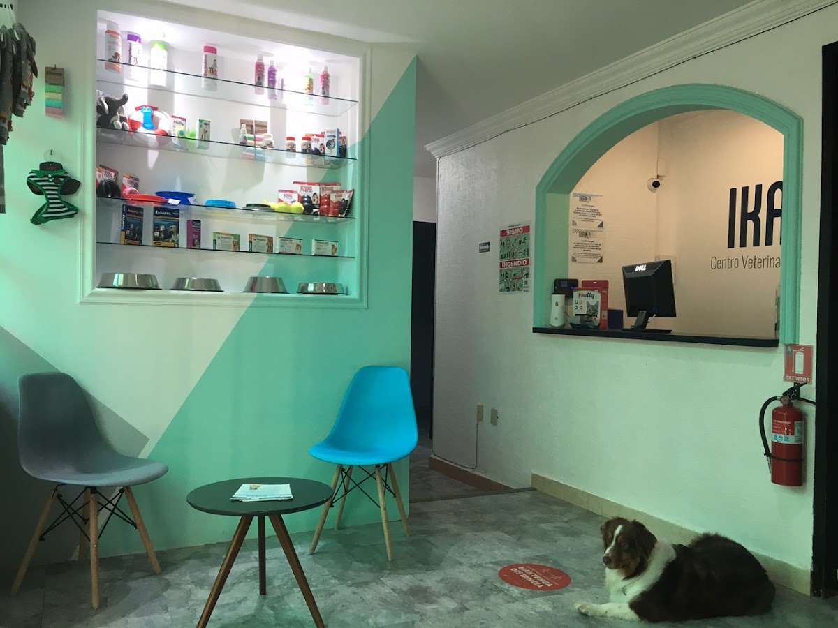 Centro Veterinario de Especialidades Ikal — foto 2