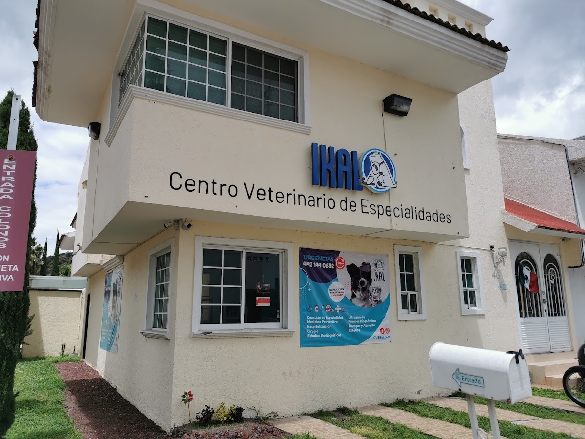 Centro Veterinario de Especialidades Ikal — foto 3