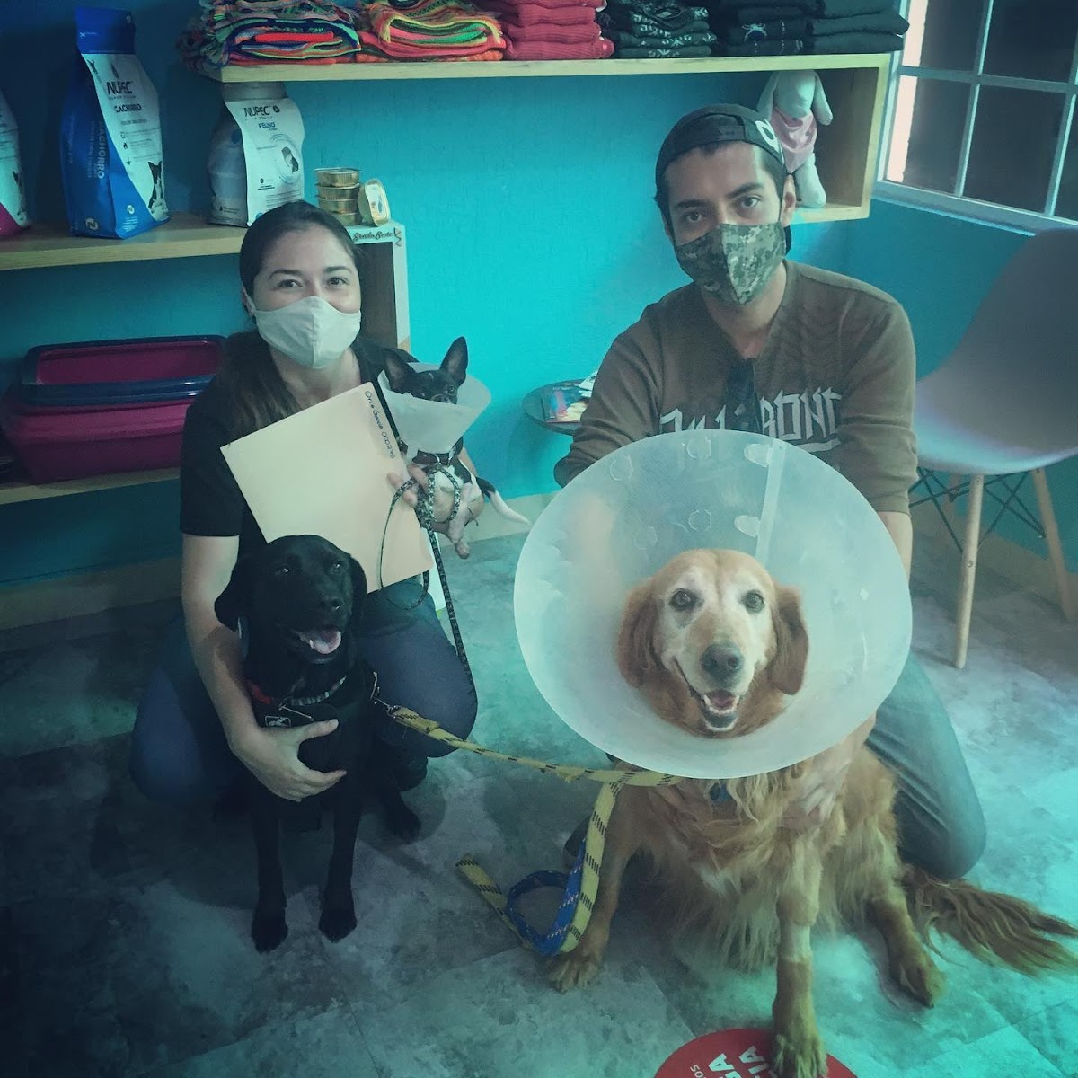 Centro Veterinario de Especialidades Ikal — foto 4