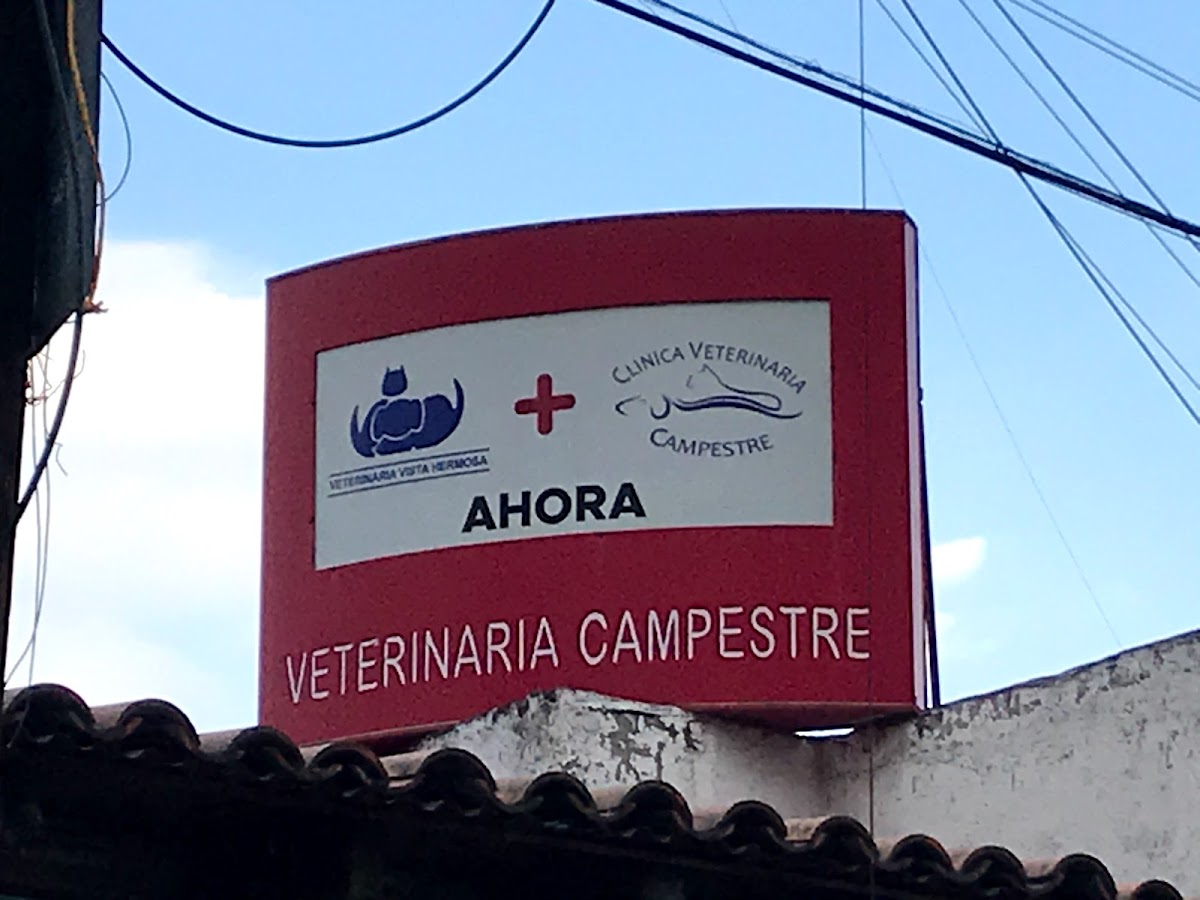 CLÍNICA VETERINARIA CAMPESTRE — foto 2
