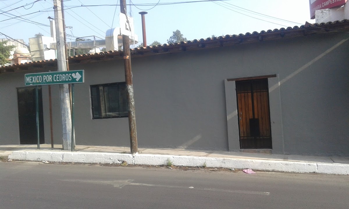 CLÍNICA VETERINARIA CAMPESTRE — foto 4