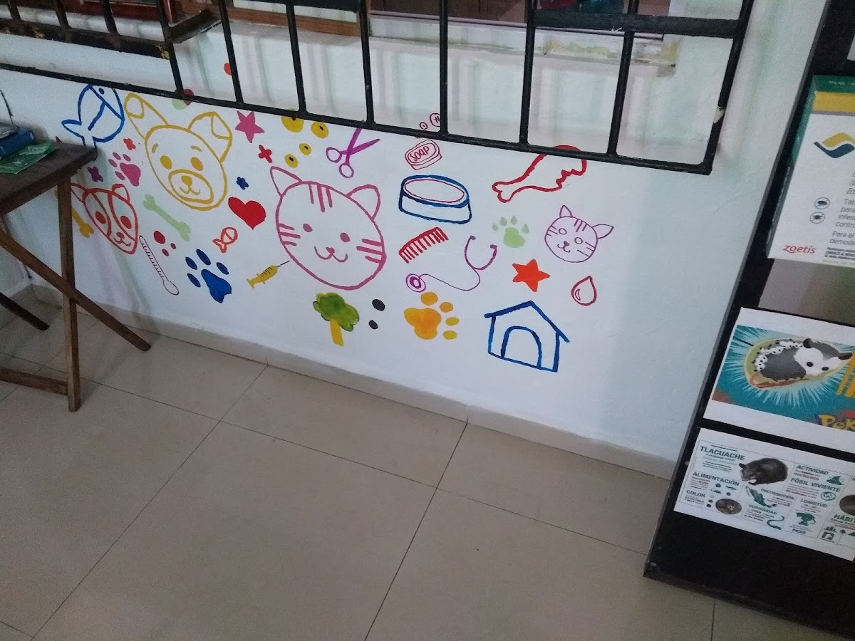 Clinica Bonampak — foto 2