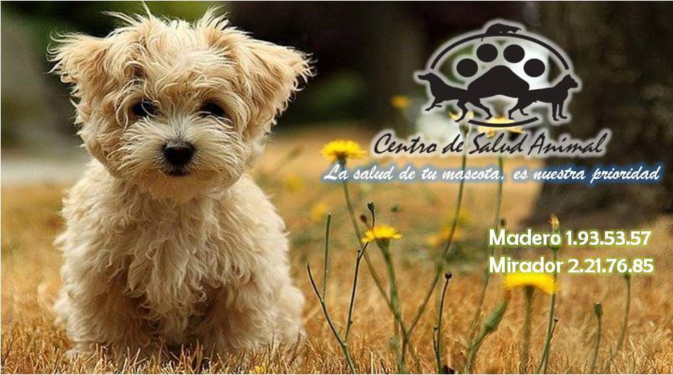Centro de salud animal, Otras zonas