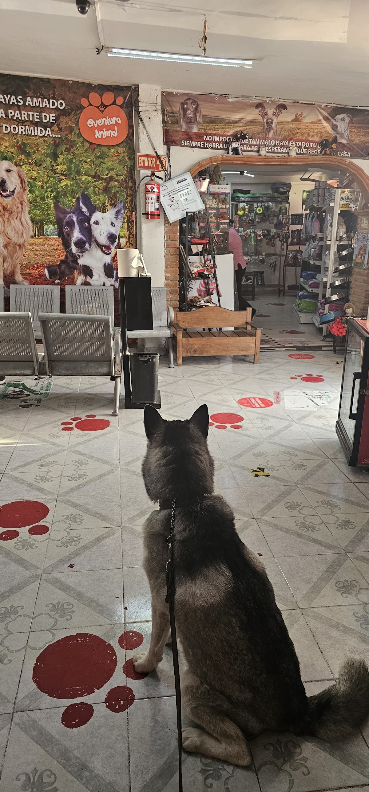 Centro de salud animal — foto 3