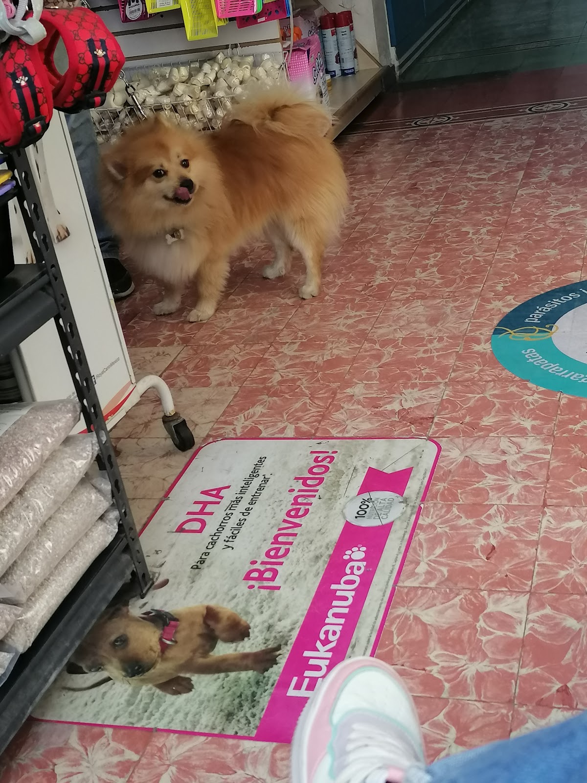 Centro de salud animal — foto 4