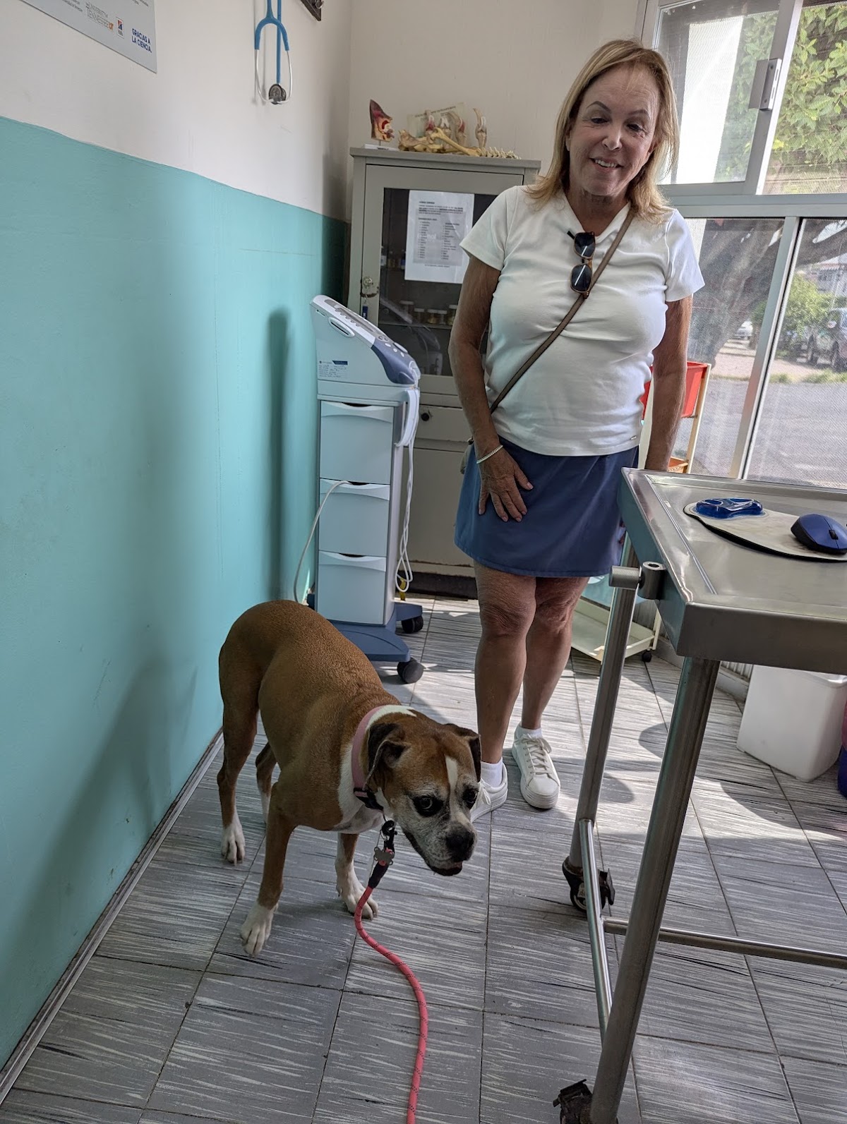 Clinica Veterinaria Animal Kingdom Suc.Porfirio