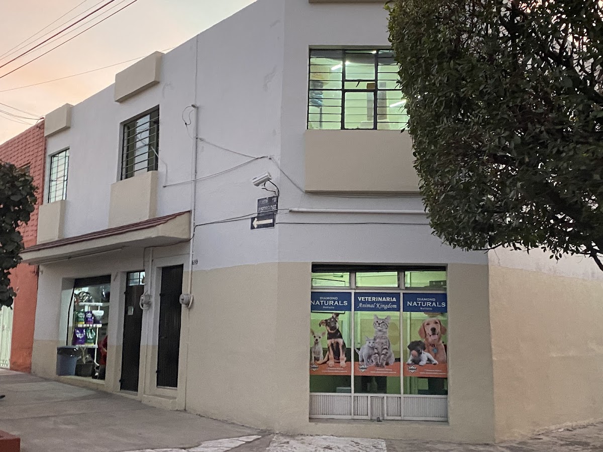 Clinica Veterinaria Animal Kingdom Suc.Porfirio — foto 2
