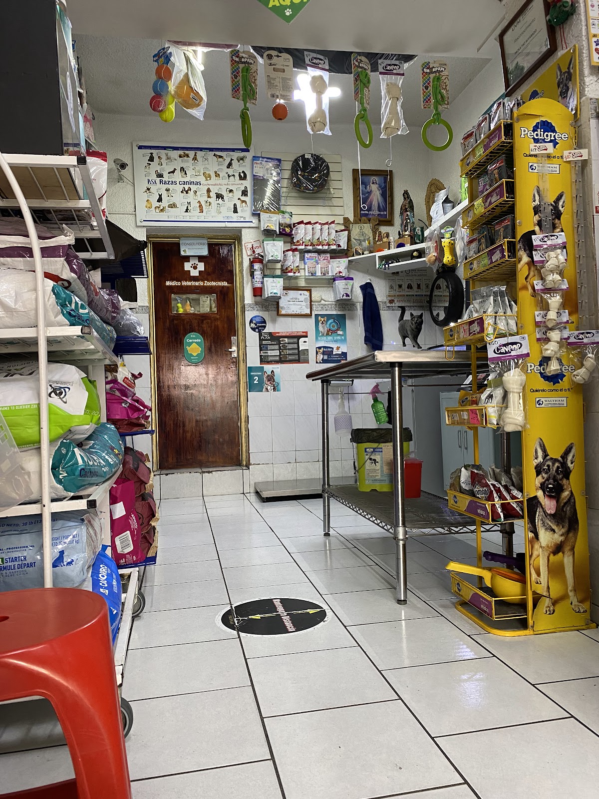 Veterinaria Animal Health — foto 2