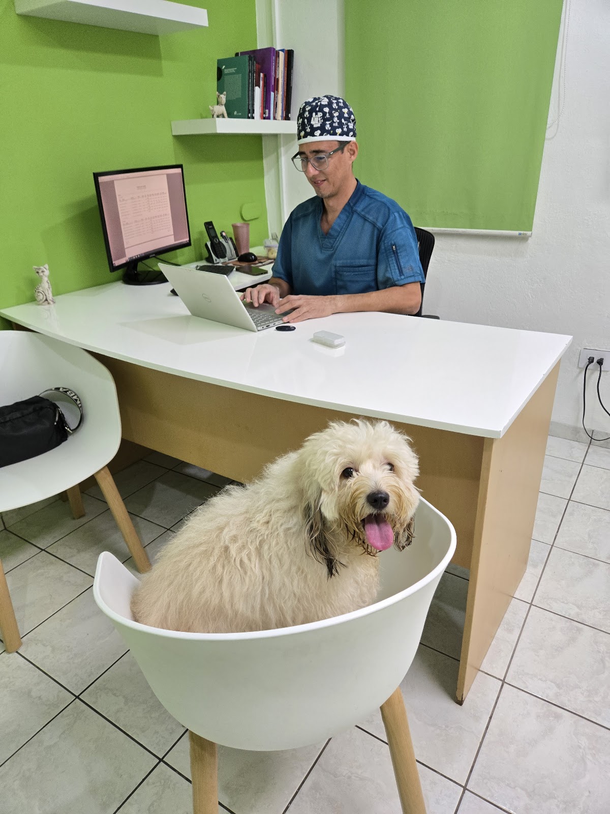 Clínica Veterinaria Mérida — foto 3