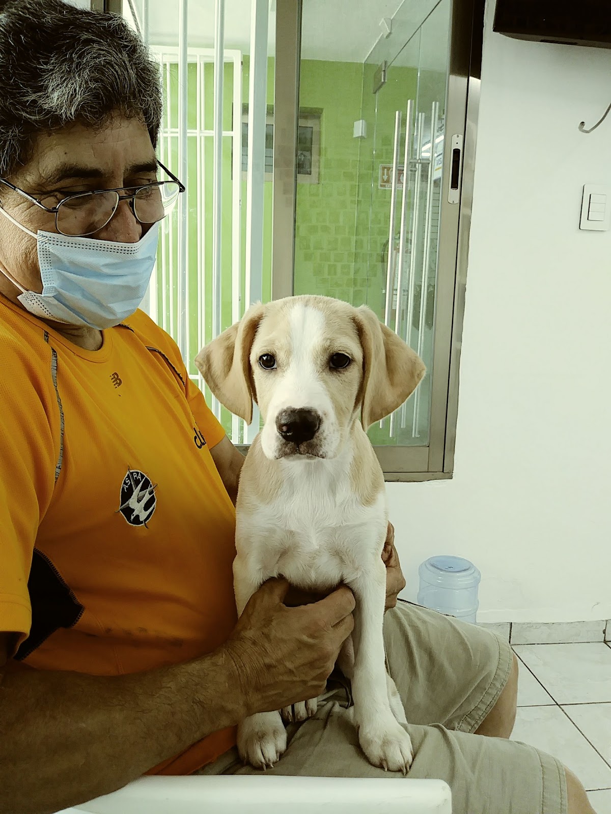 Clínica Veterinaria Mérida — foto 4