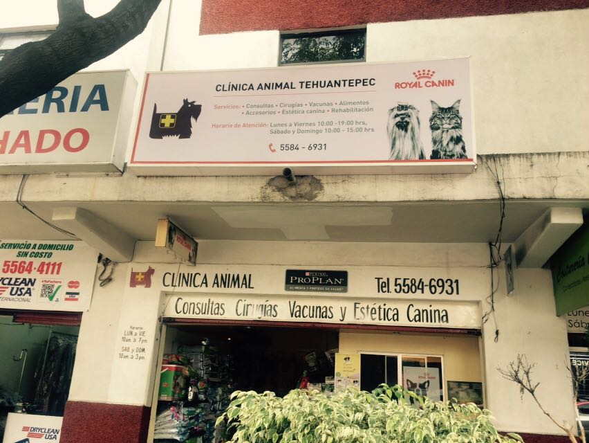Clinica Animal Tehuantepec