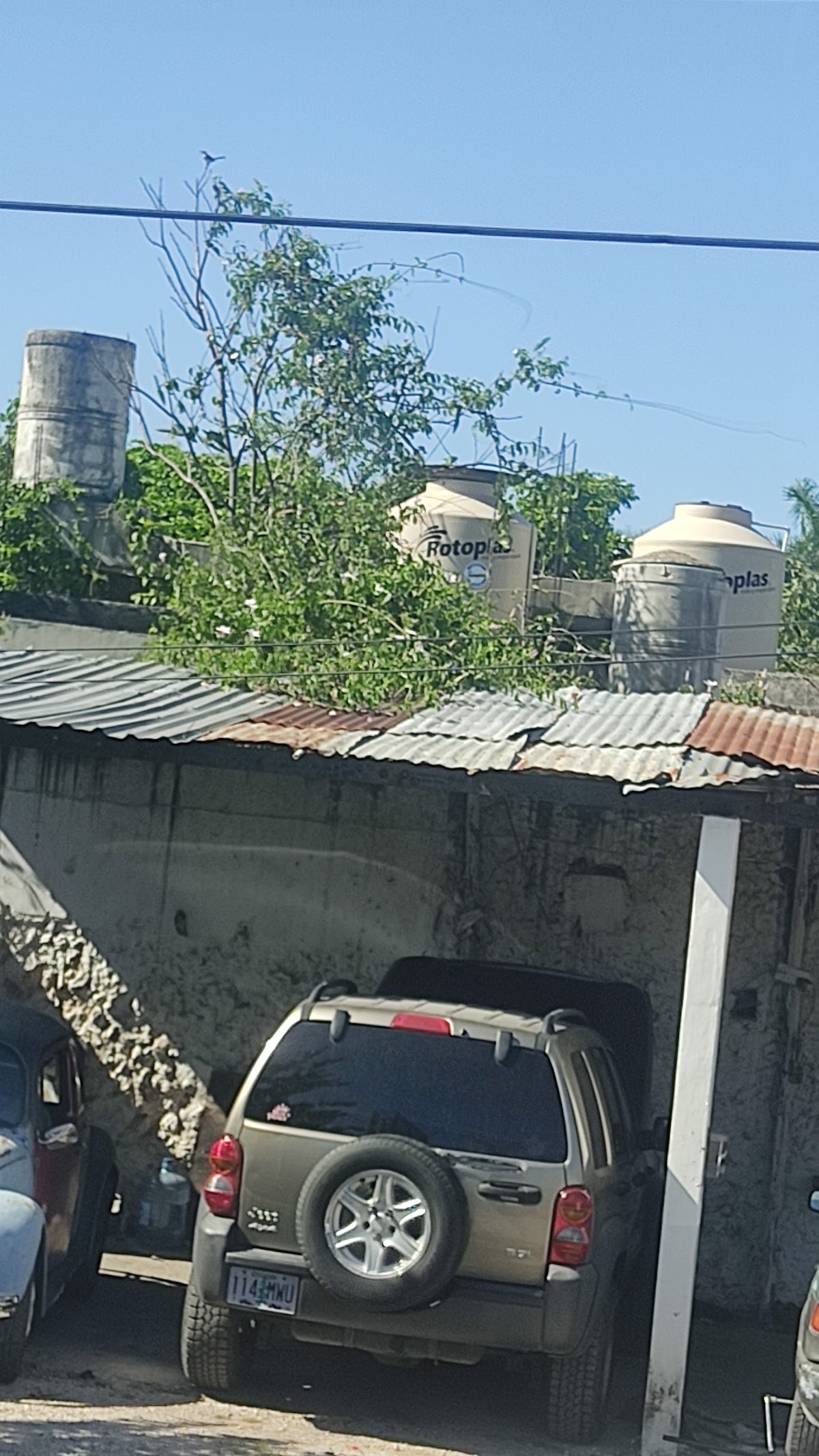Servicio Eléctrico Automotriz D' Sanches — foto 2