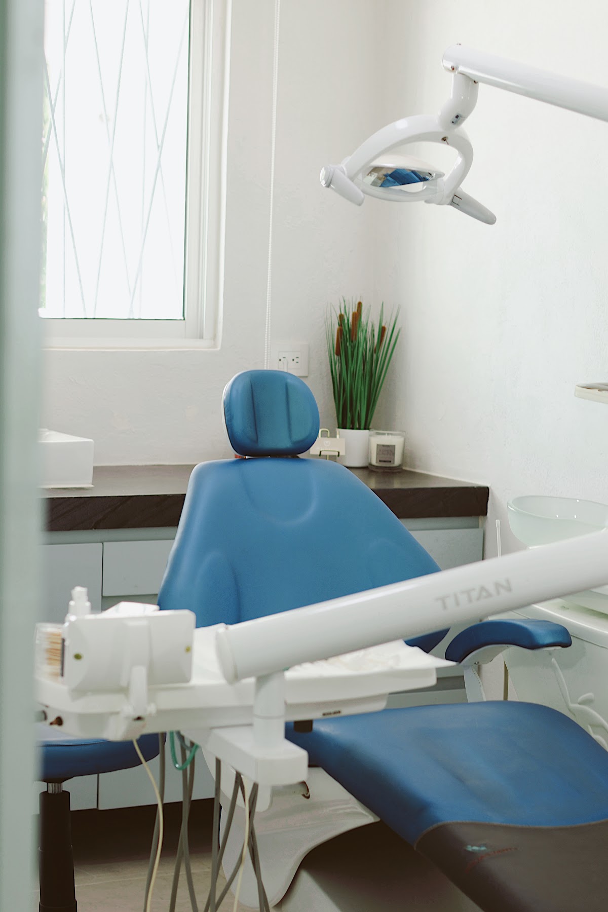 Dentista Alicia Barrera