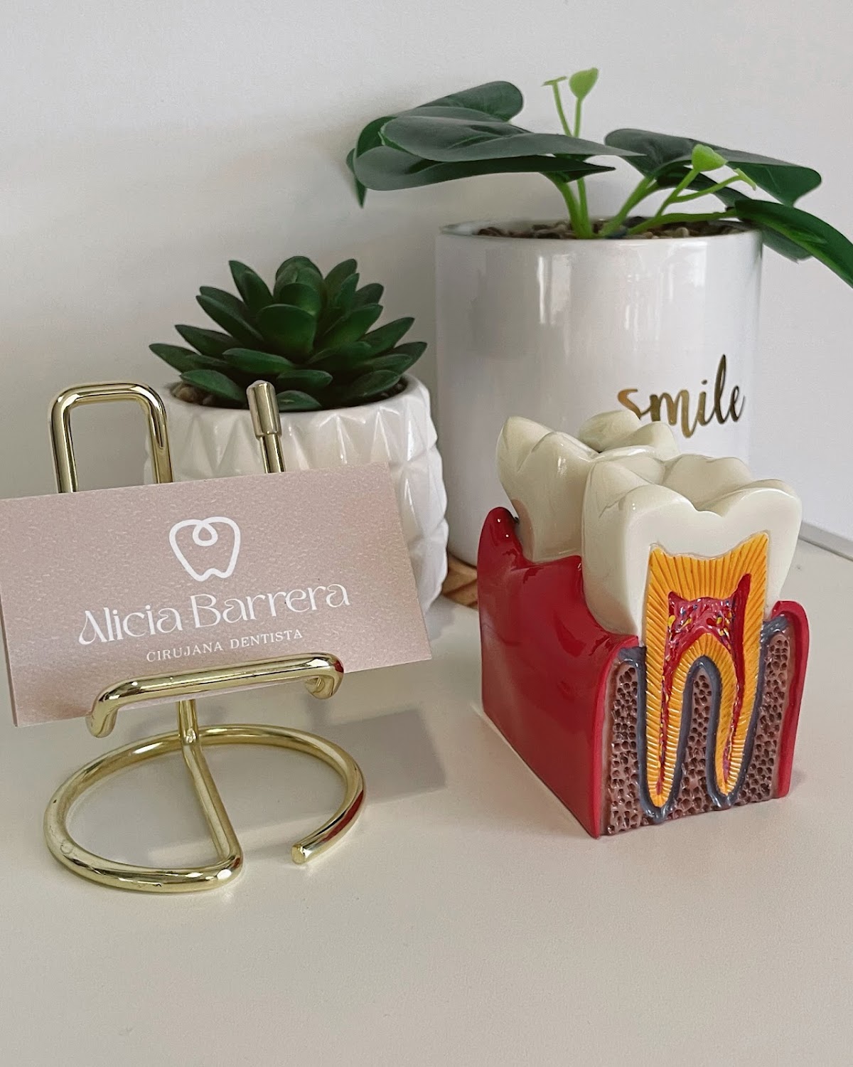 Dentista Alicia Barrera — foto 2