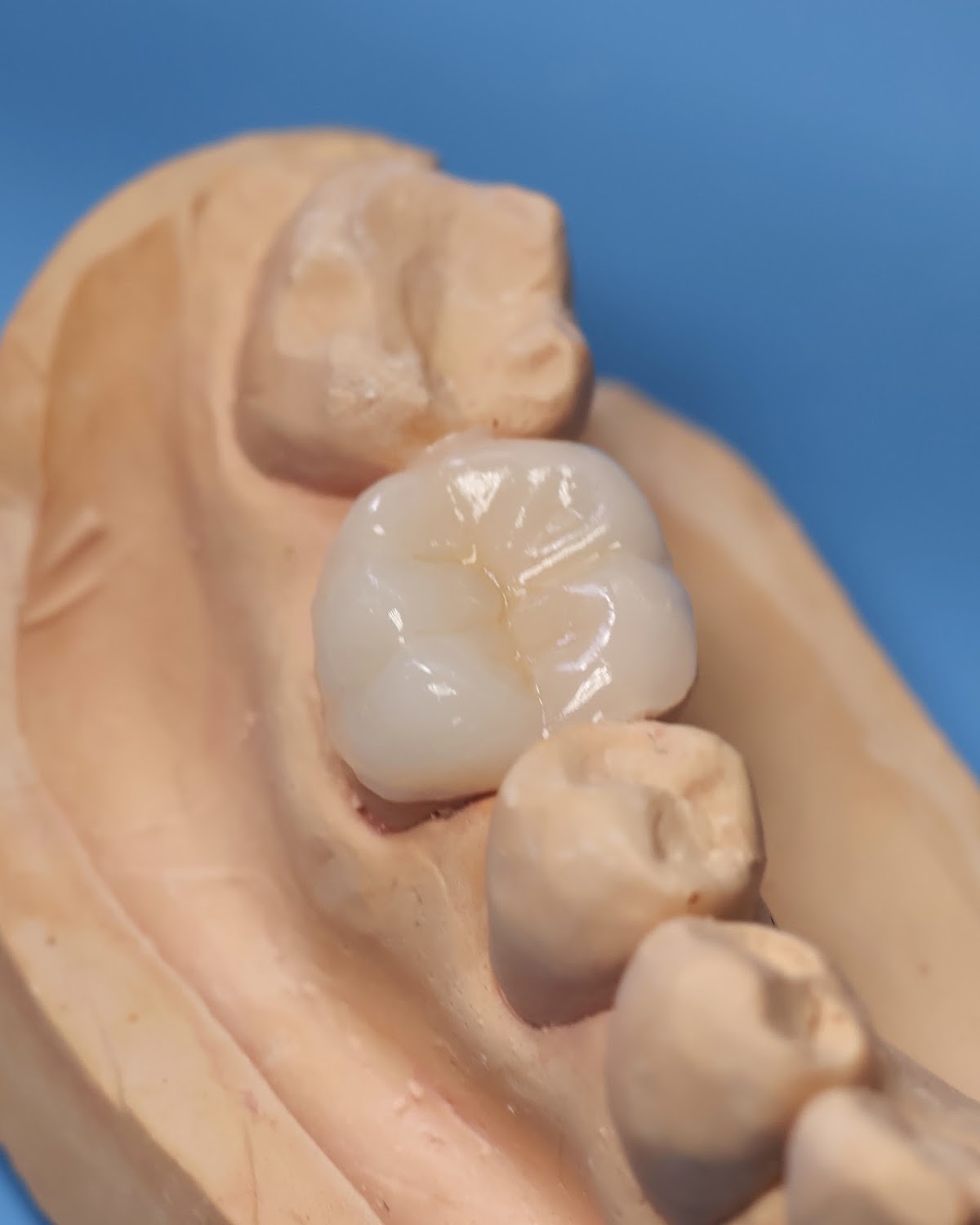 Dentista Alicia Barrera — foto 3