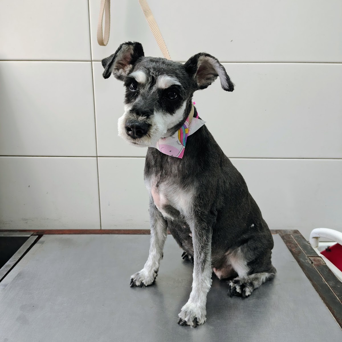 Veterinaria del Parque