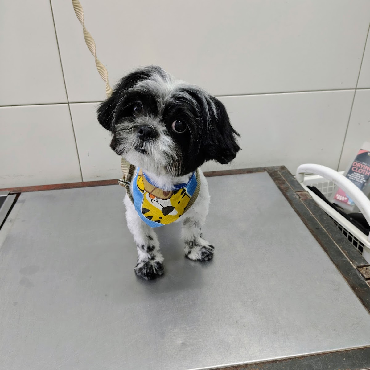 Veterinaria del Parque — foto 2