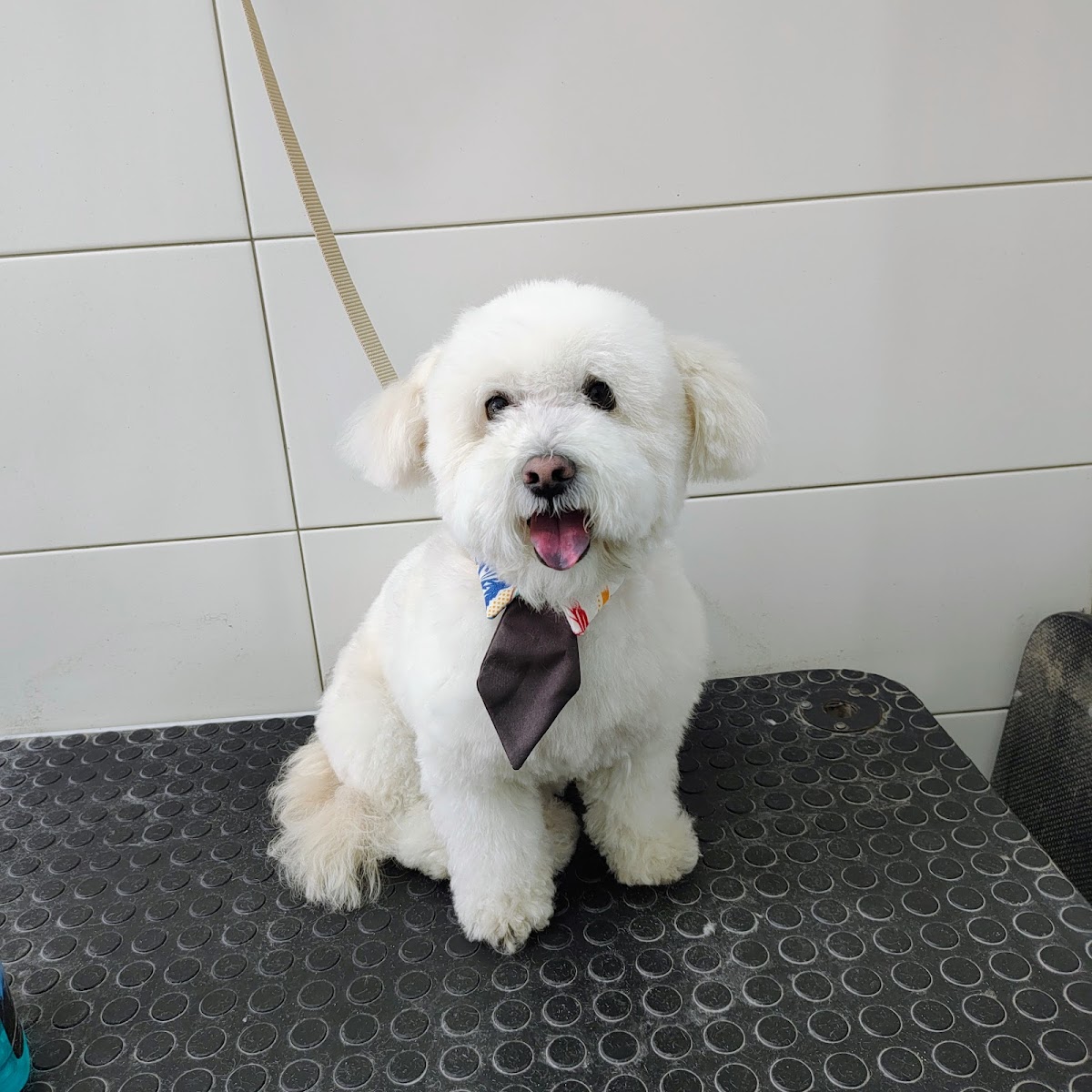 Veterinaria del Parque — foto 4