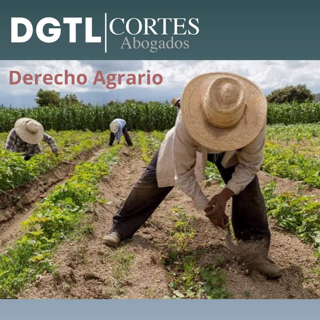 DGTL ABOGADOS Y CONSULTORES, Centro Histórico