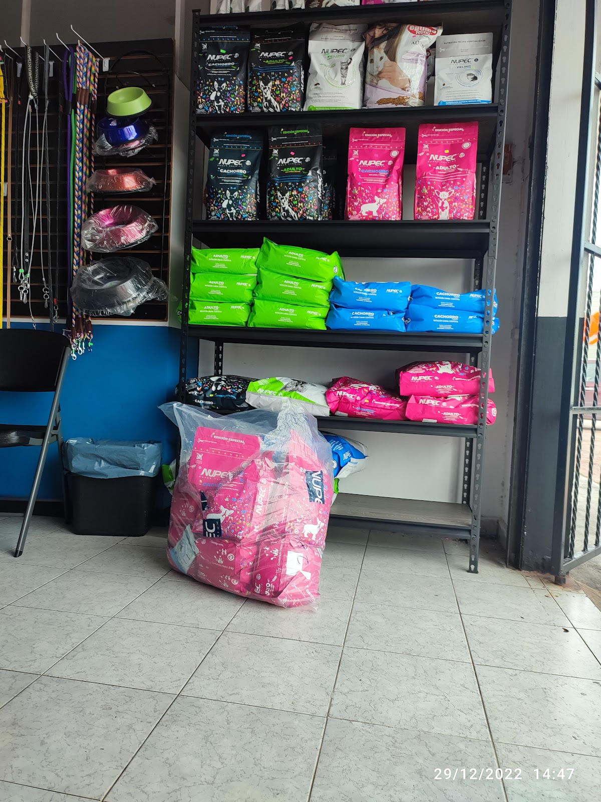 Veterinaria KUKUL Can's — foto 4