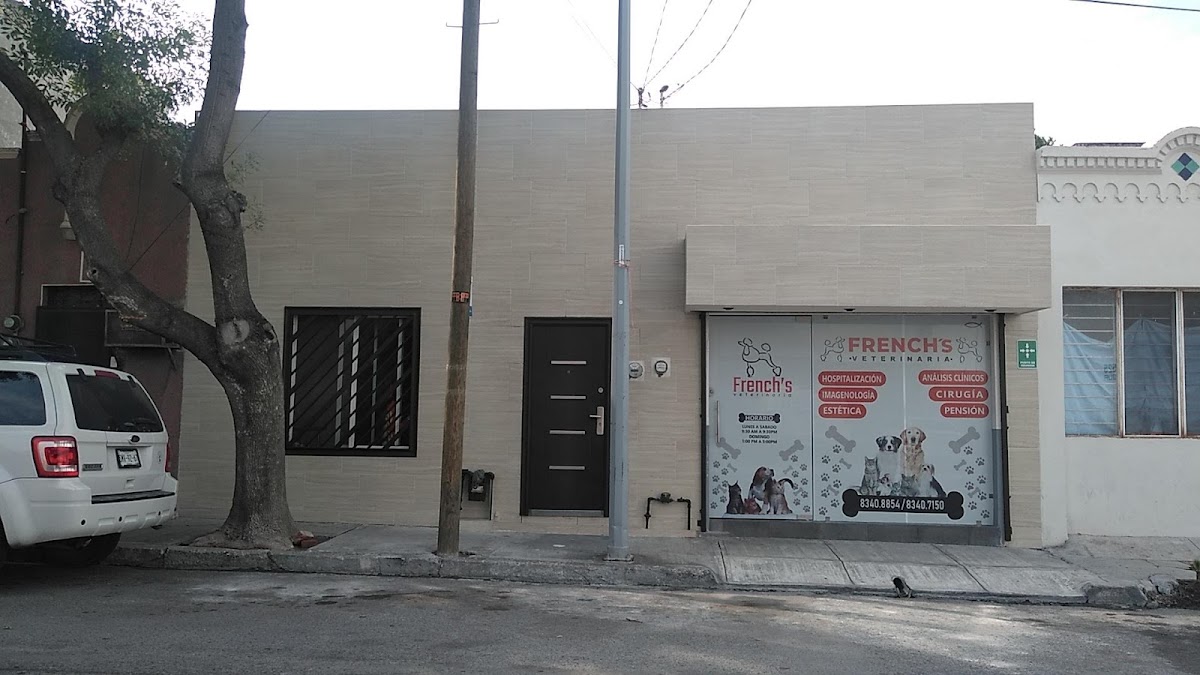 CLÍNICA VETERINARIA FRENCH'S — foto 3
