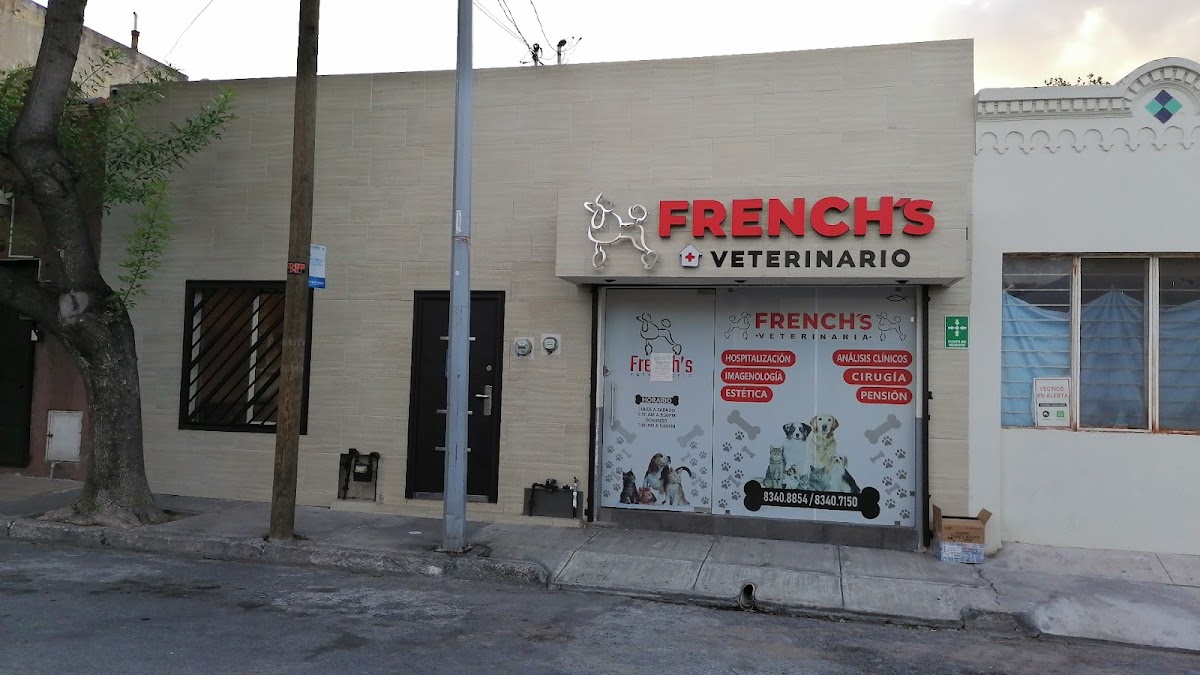 CLÍNICA VETERINARIA FRENCH'S — foto 4