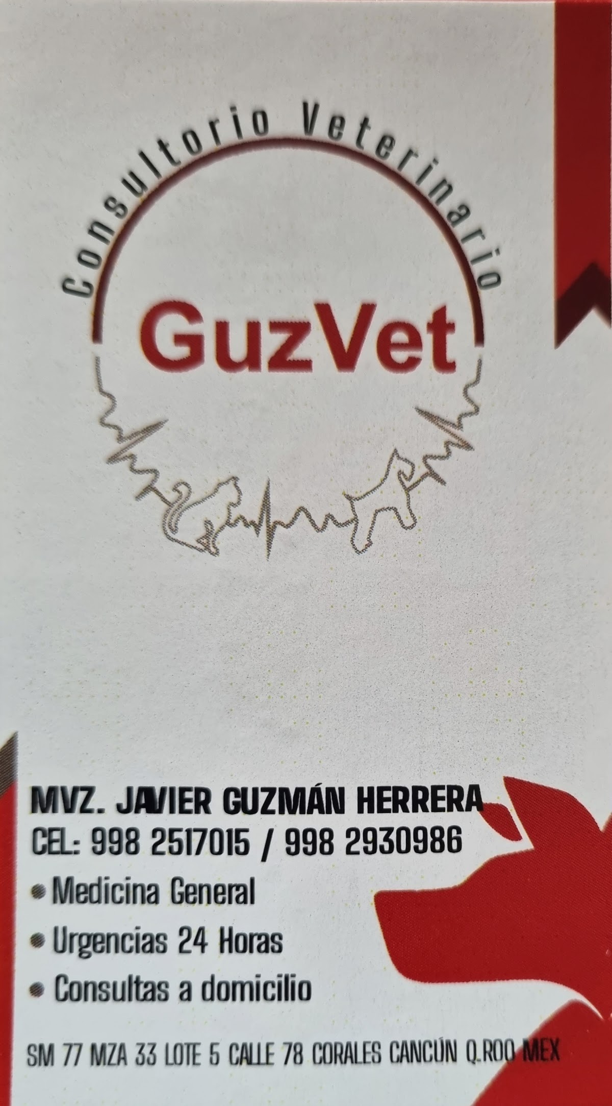 Consultorio veterinario GuzVet — foto 3