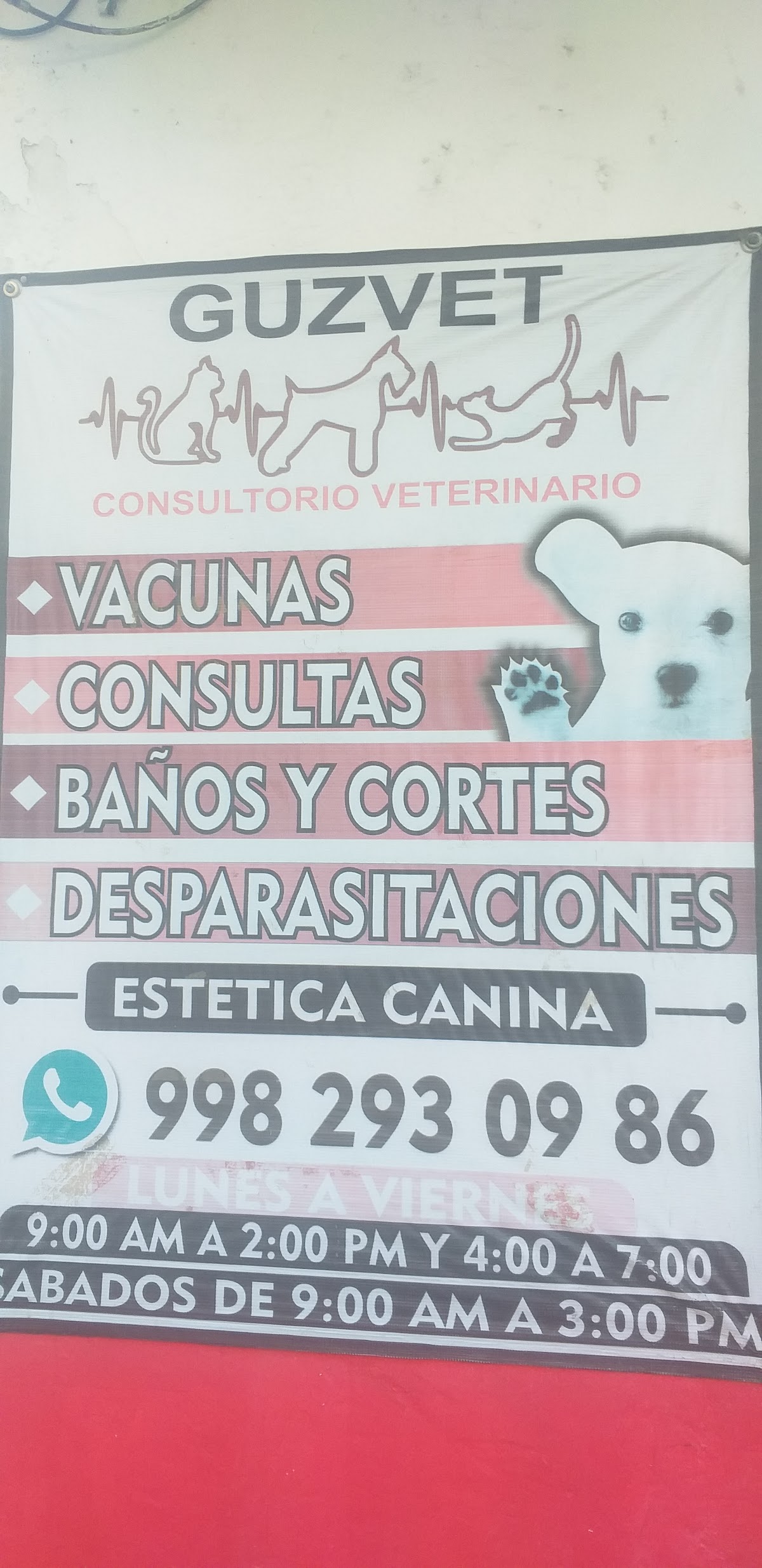 Consultorio veterinario GuzVet — foto 4