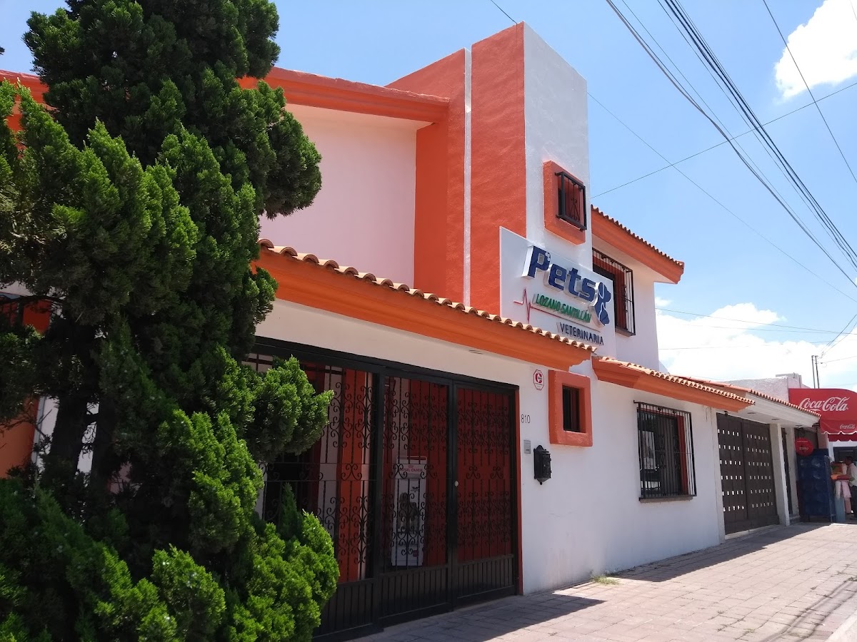 Hospital Veterinario Pets