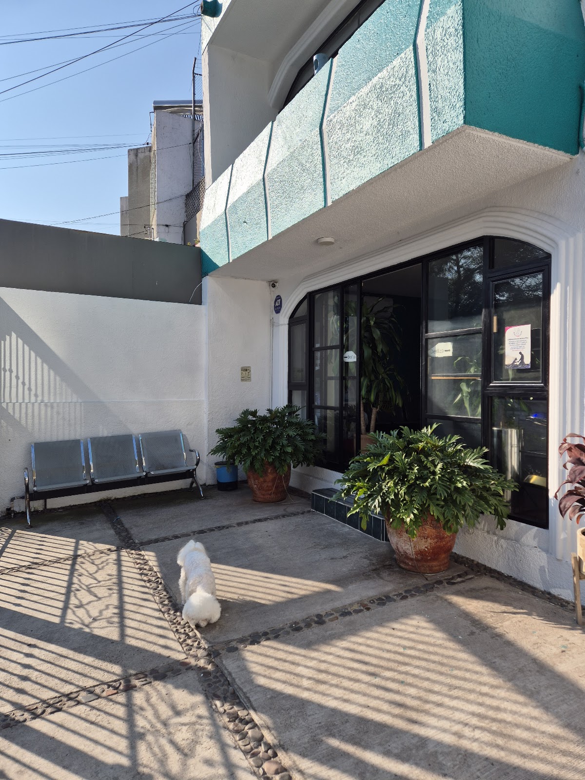 Hospital Veterinario San Javier — foto 2