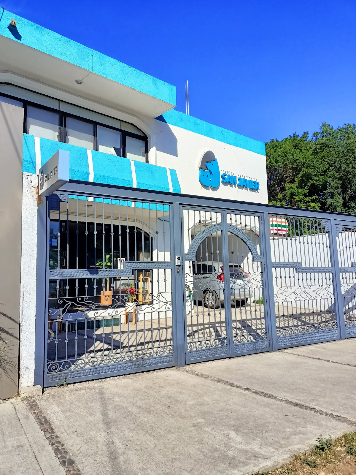 Hospital Veterinario San Javier — foto 3