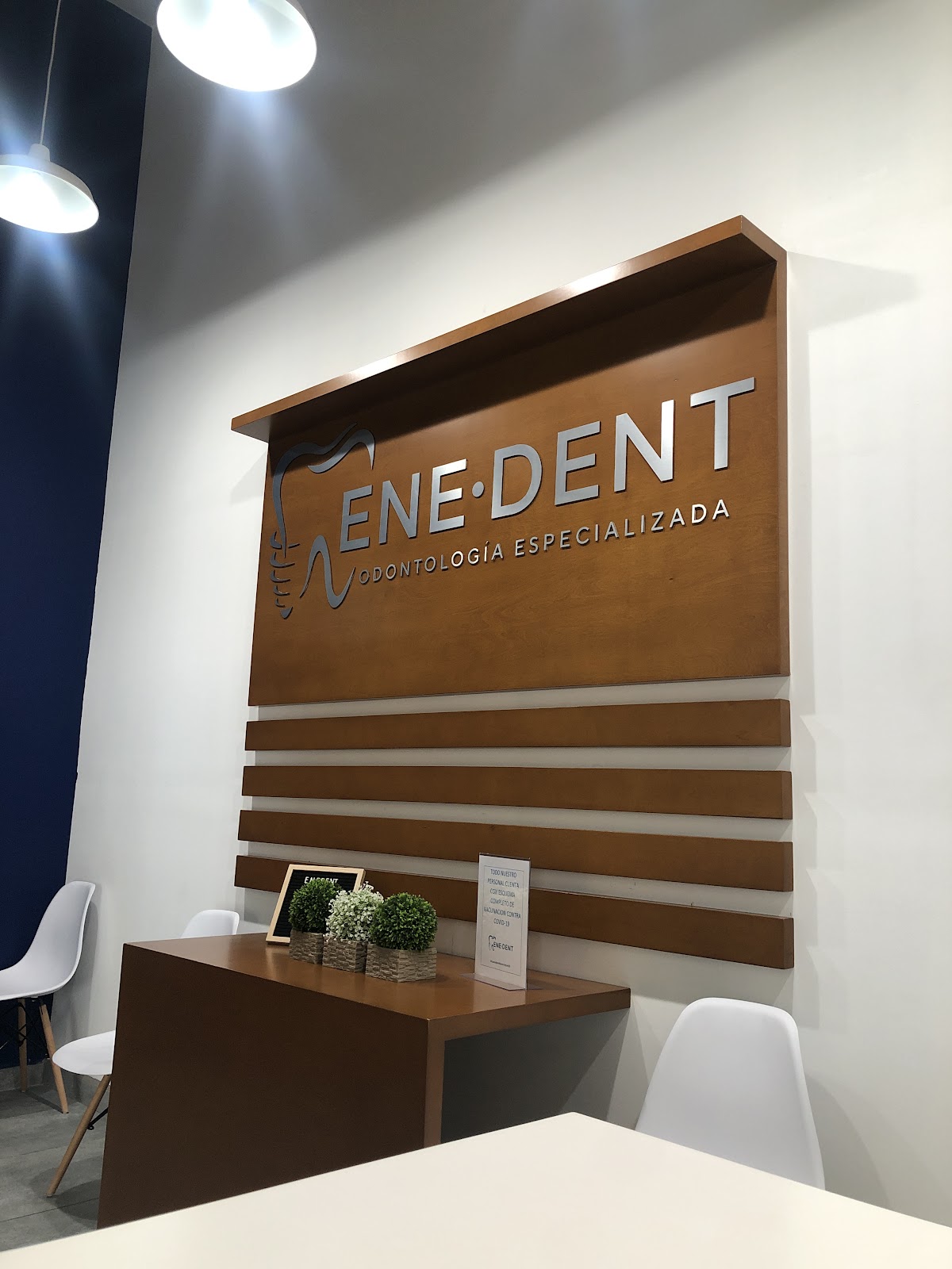 Ene·Dent — foto 2