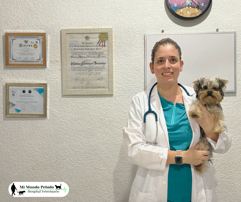 Mi Mundo Peludo - Hospital Veterinario