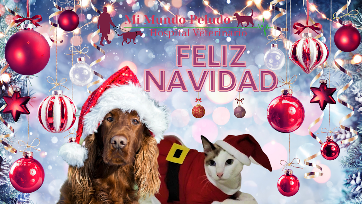 Mi Mundo Peludo - Hospital Veterinario — foto 3