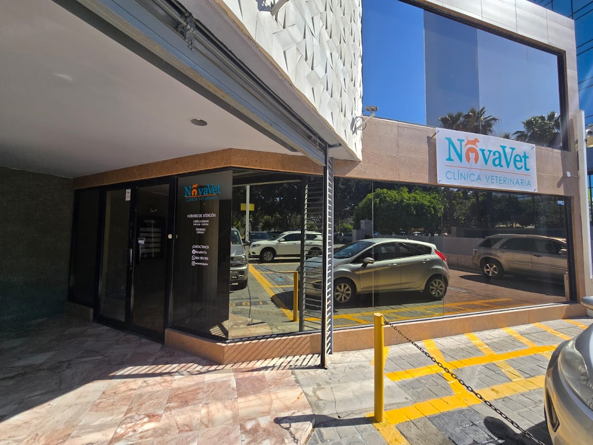 NovaVet clinica veterinaria