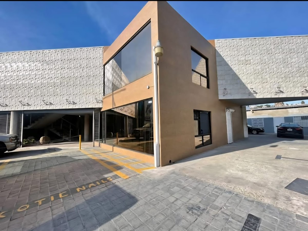 NovaVet clinica veterinaria — foto 3