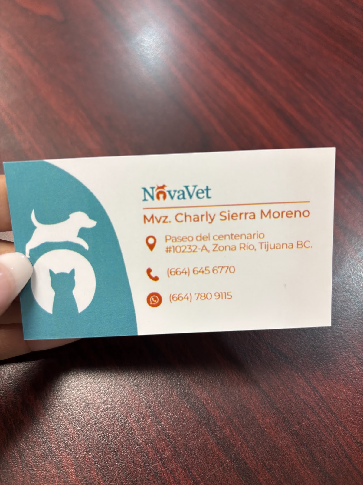 NovaVet clinica veterinaria — foto 4