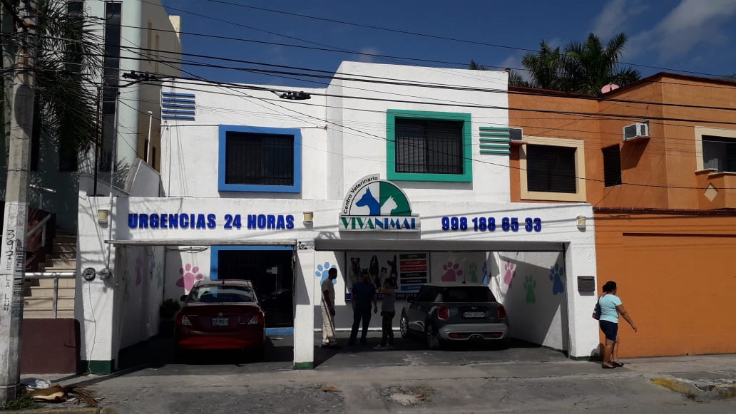 VETERINARIA VIVANIMAL " LA LUNA "