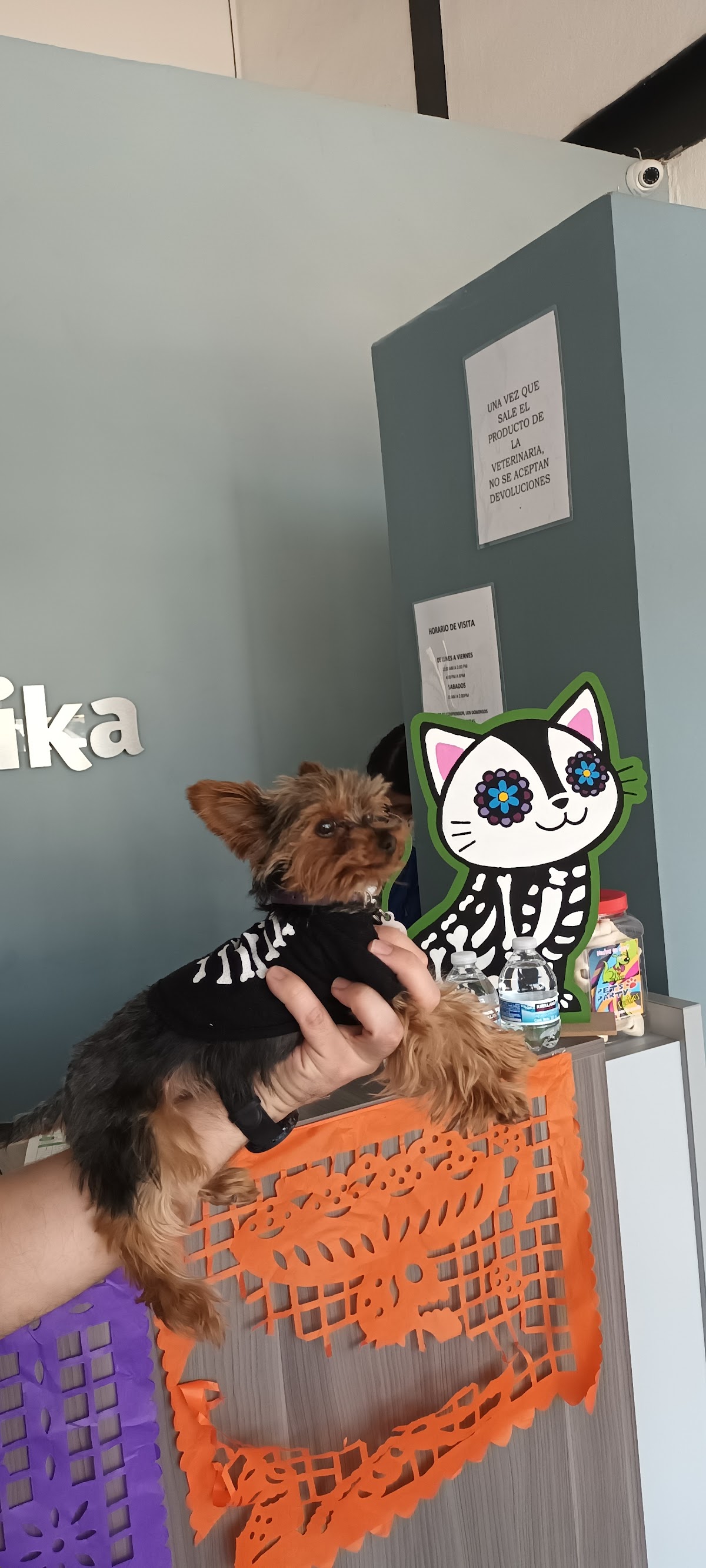 Vet Medika — foto 2