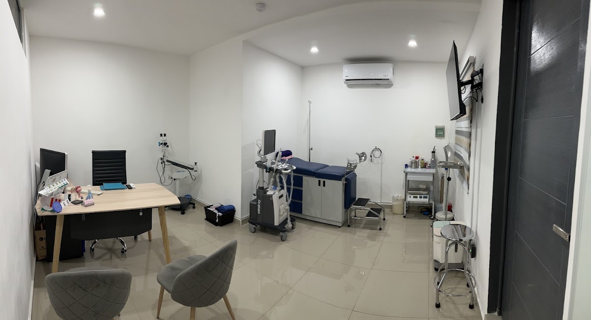 Ginecología & Obstetricia | Dr. Miguel Angel Fierro — foto 2