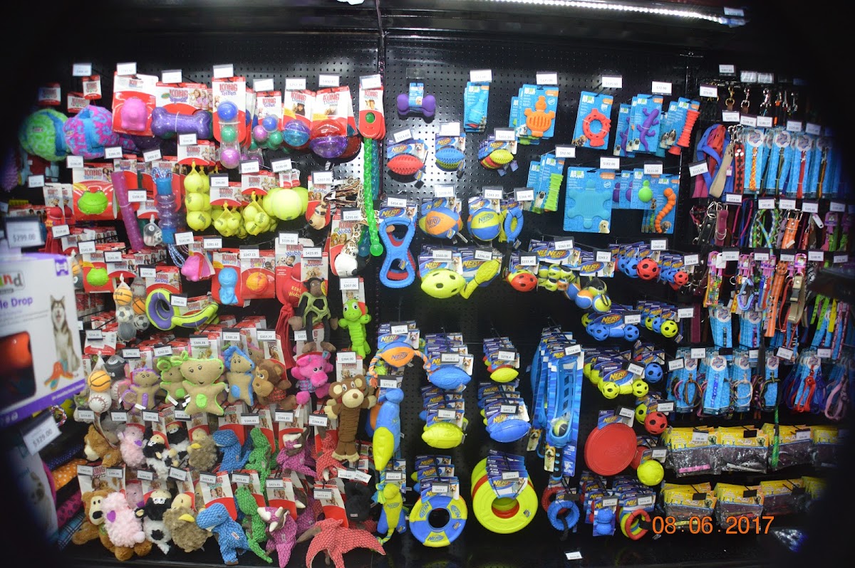 Pet Choice — foto 4