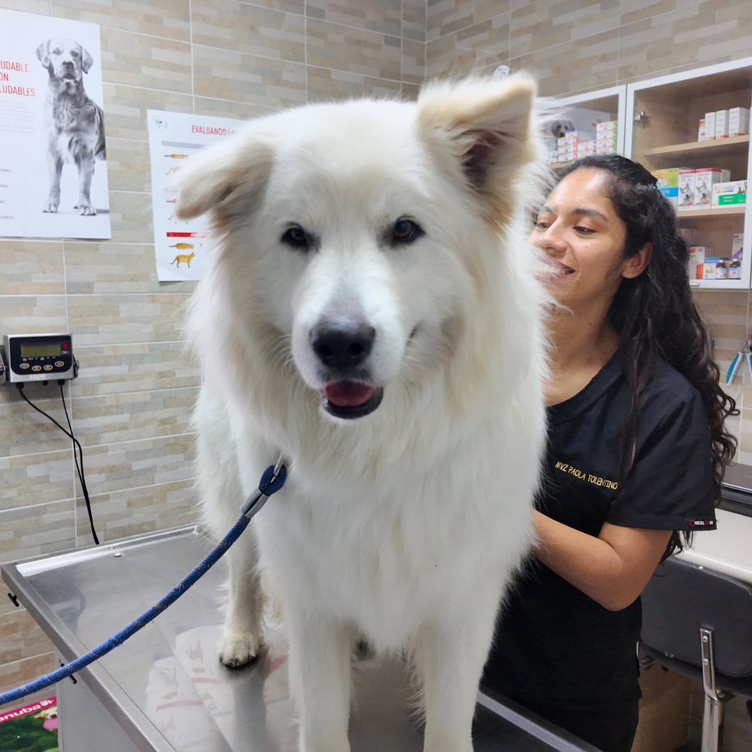 TOY´s Clínica Veterinaria
