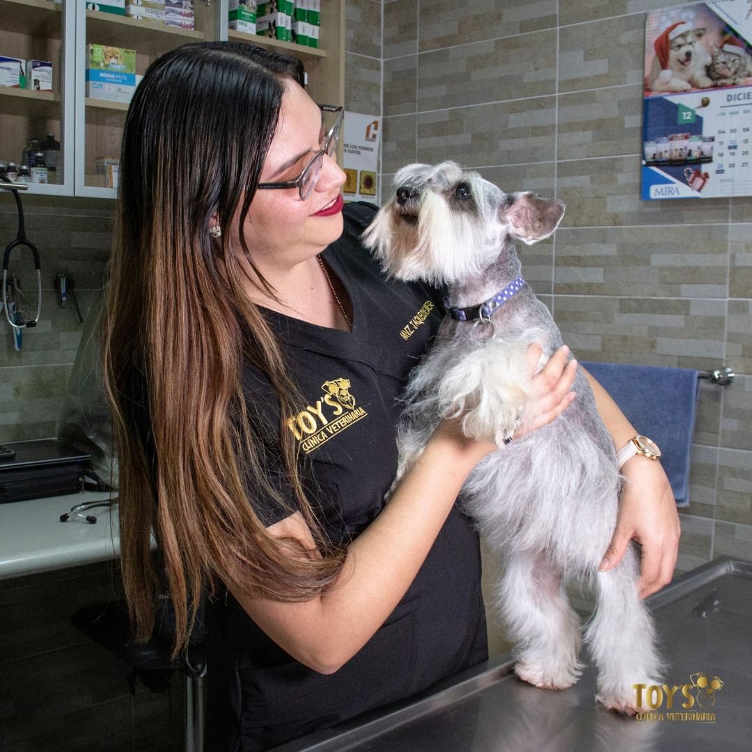 TOY´s Clínica Veterinaria — foto 3