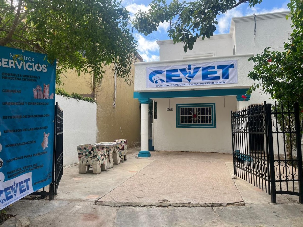 CEVET- Clínica Especializada Veterinaria
