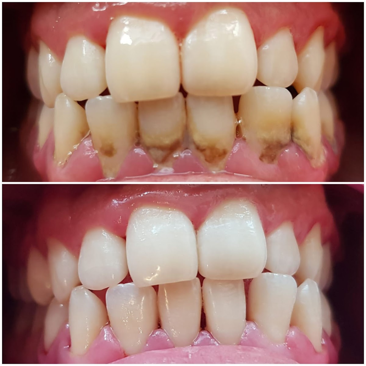 Paraíso Dental — foto 4