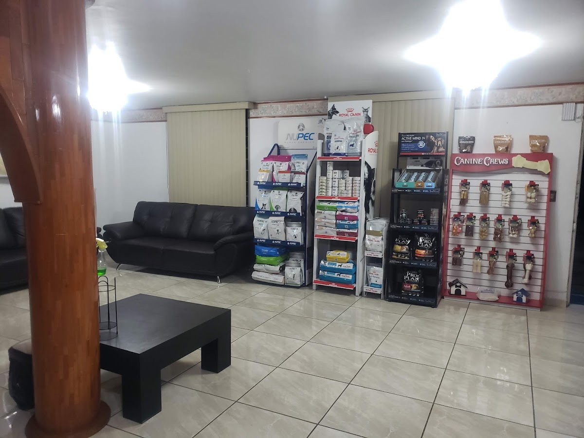 HOSPITAL VETERINARIO CANEM — foto 2