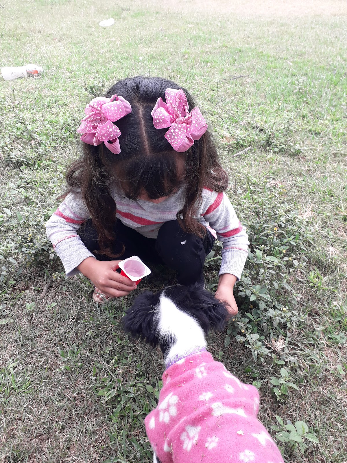 Veterinaria El Ganadero — foto 2