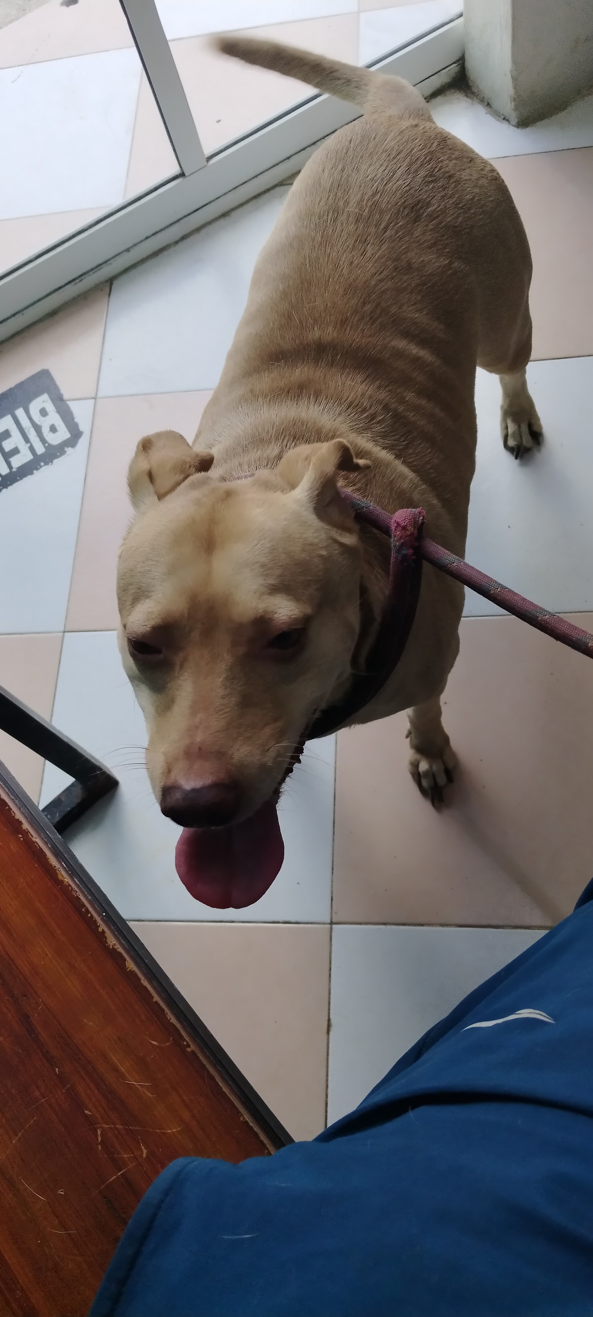 Animal Center — foto 2